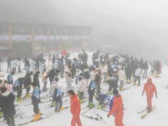 <b>用AI辅帮决策的量呈现迸发式增加</b> 